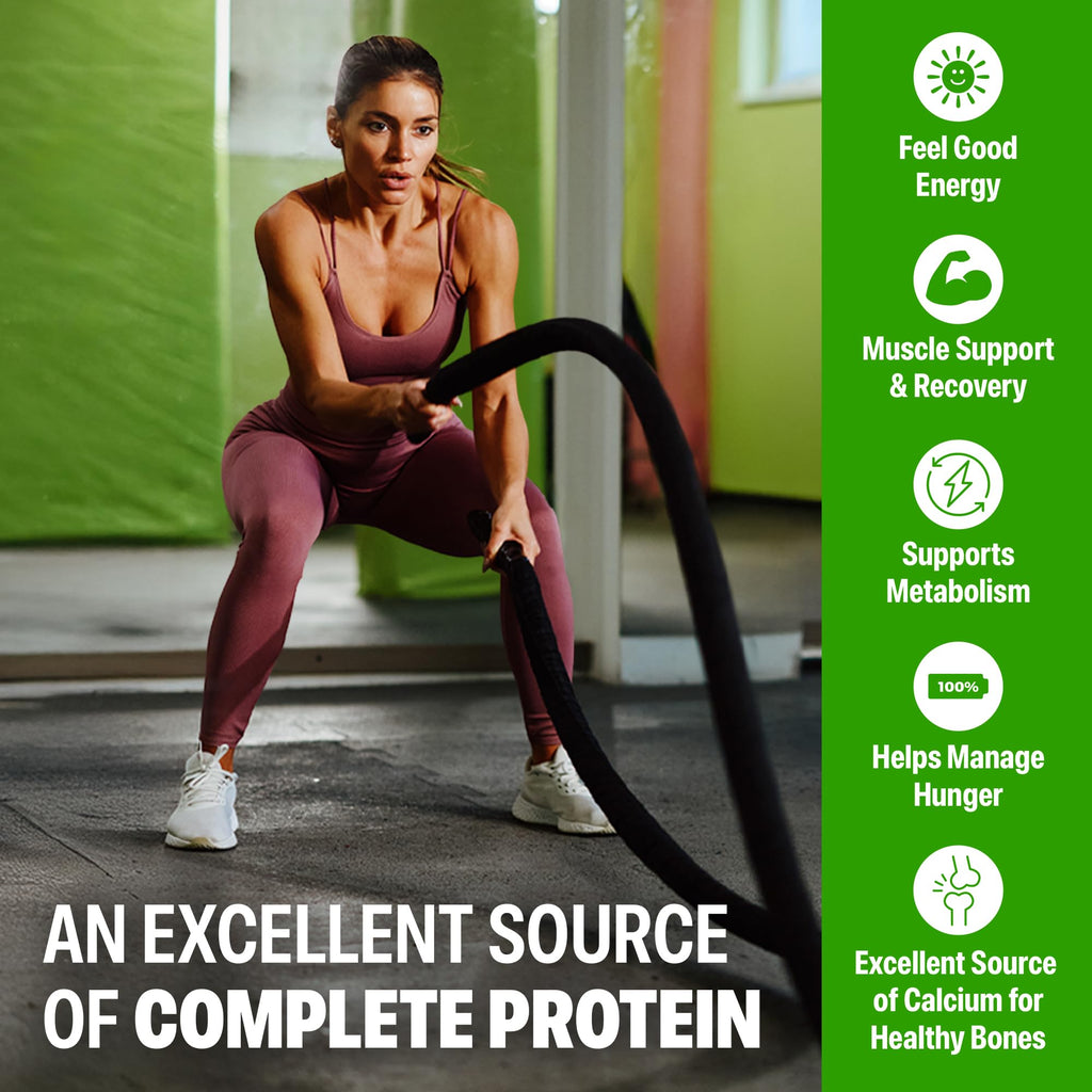 Orgain 30g High Protein Shake, Dairy Isolate Milk Protein, Chocolate Fudge, 5g BCAAs, 1g Sugar Per Serving, Meal Replacement, Ready to Drink, Keto Friendly, Gluten-Free 11 Fl Oz (Pack of 12)