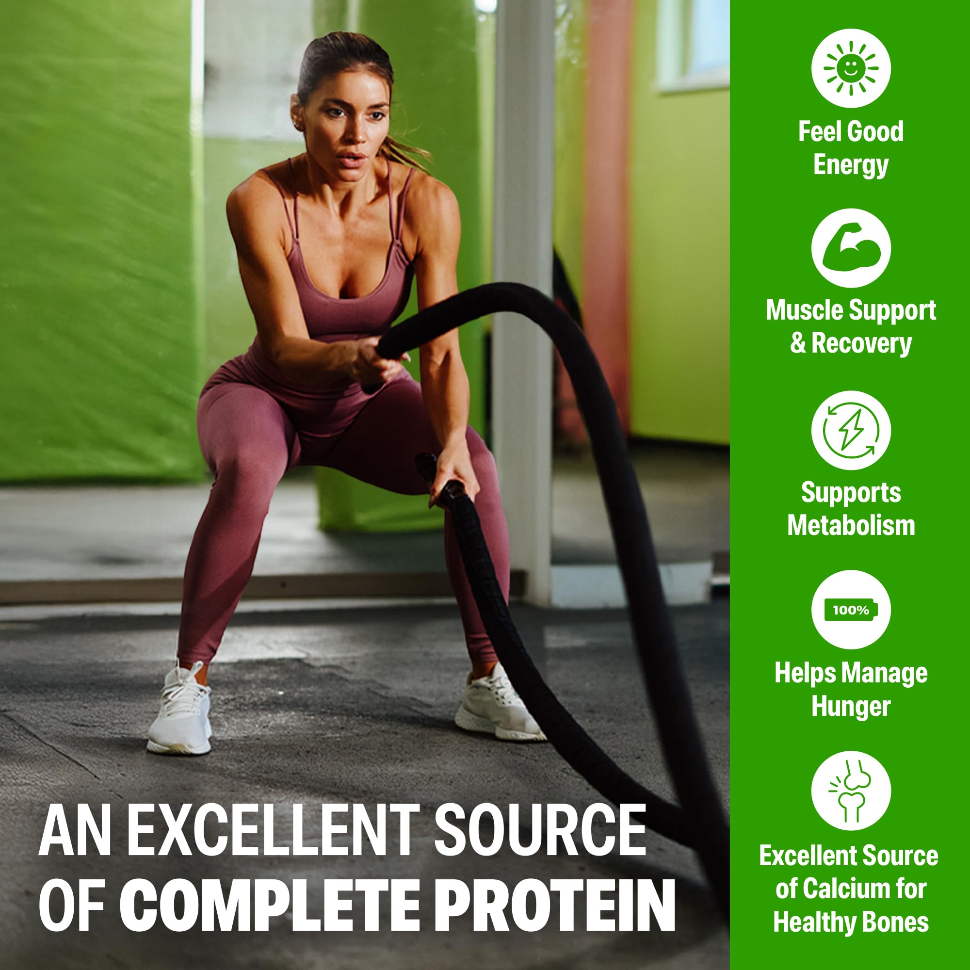Orgain 30g High Protein Shake, Dairy Isolate Milk Protein, Chocolate Fudge, 5g BCAAs, 1g Sugar Per Serving, Meal Replacement, Ready to Drink, Keto Friendly, Gluten-Free 11 Fl Oz (Pack of 12)