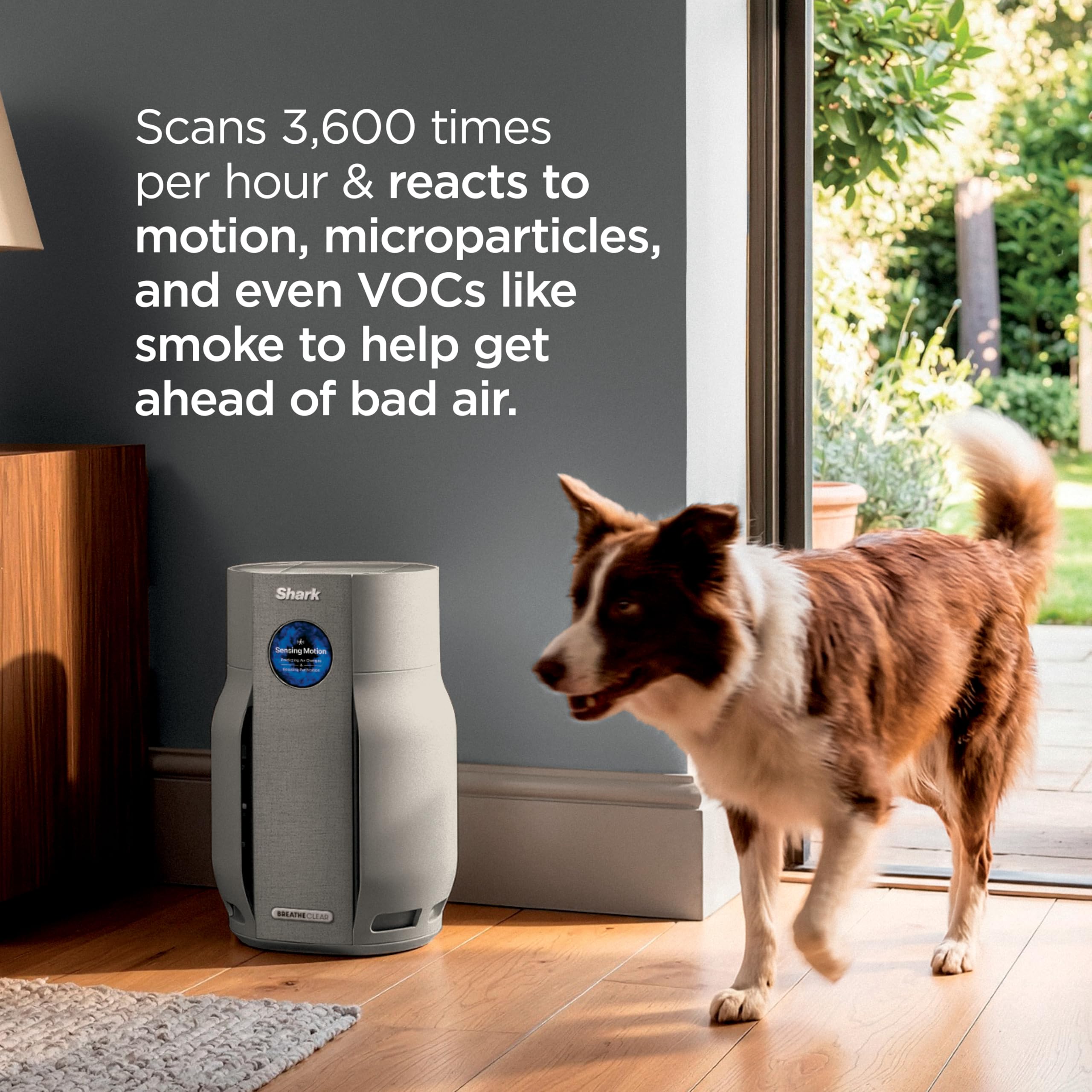 Shark BreatheClear, Smart Air Purifier, Living Room, Bedroom, Kitchen, Motion Sensing, HEPA-Exceeding In All Modes, No Filter Changes up to 6 Years, Dove, HP162 (2026)