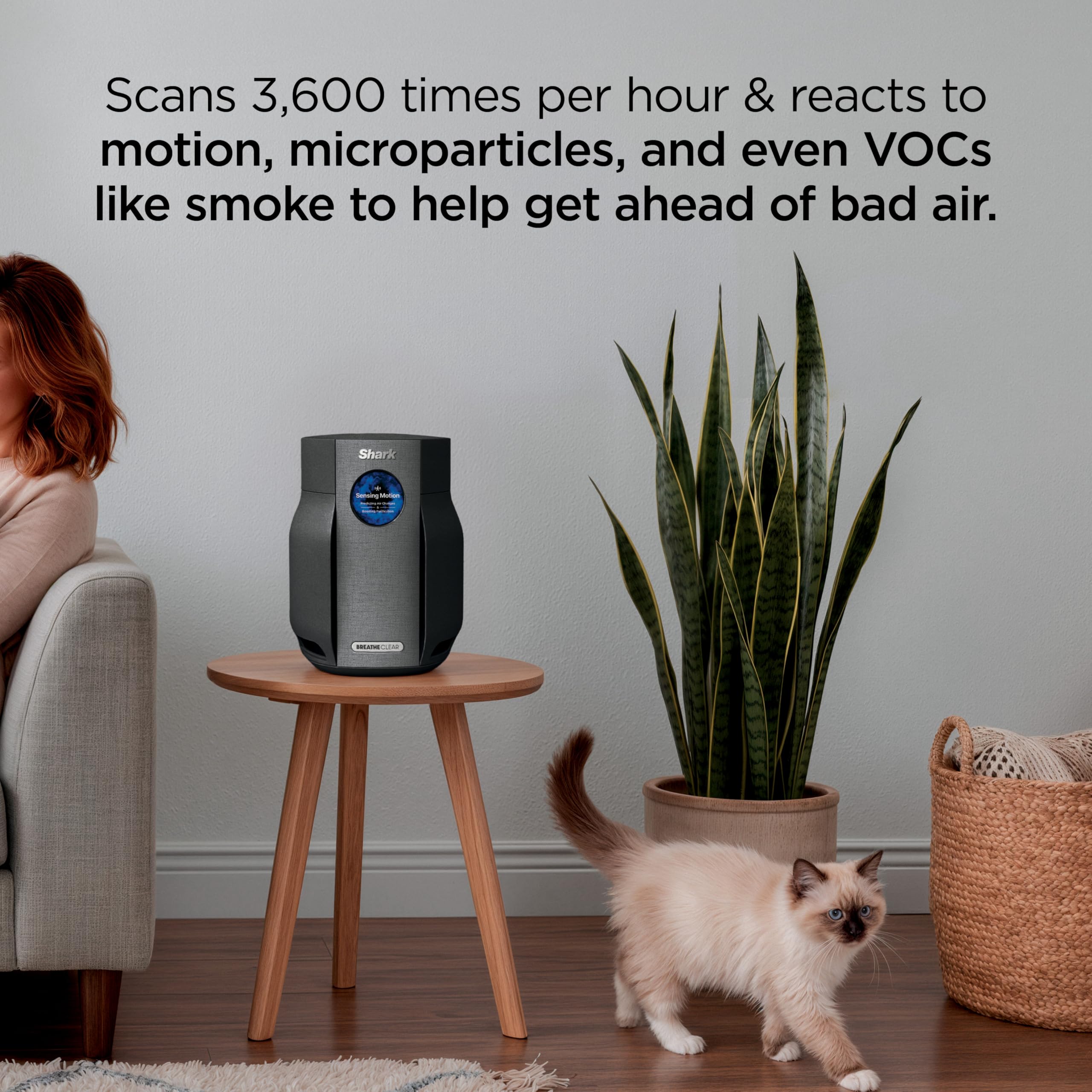 Shark BreatheClear, Smart Air Purifier, Living Room, Bedroom, Kitchen, Motion Sensing, HEPA-Exceeding In All Modes, No Filter Changes up to 6 Years, Dove, HP162 (2026)