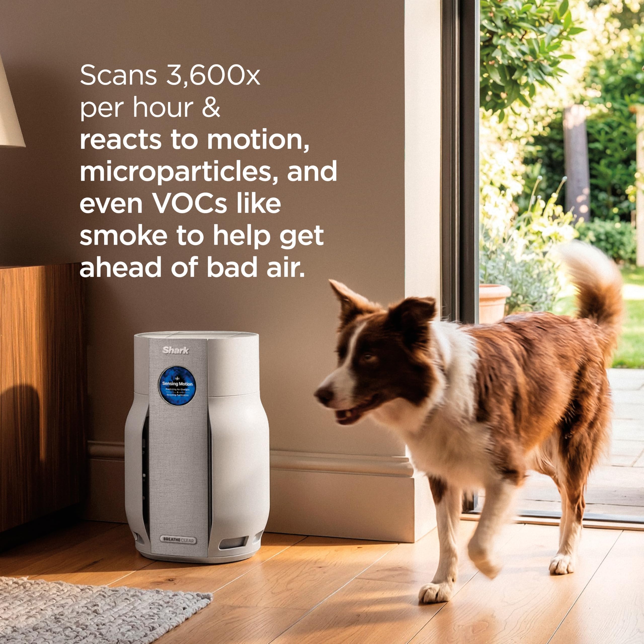 Shark BreatheClear, Smart Air Purifier, Living Room, Bedroom, Kitchen, Motion Sensing, HEPA-Exceeding In All Modes, No Filter Changes up to 6 Years, Dove, HP162 (2026)